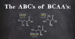 The ABC's of BCAA's - Critical Building Blocks for Success