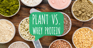 Plant Protein vs. Whey Protein